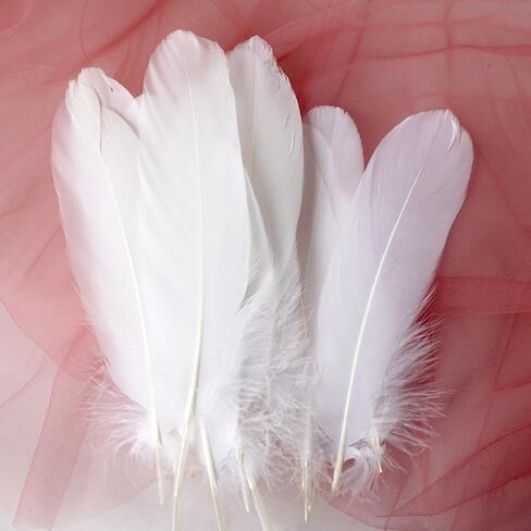GSHLLO 100 Pcs Natural Colorful Goose Feathers Dream Catcher Making Feather Cosplay Decorative Feather DIY Crafts Feathers Clothing Hats Accessories Black in Kuwait