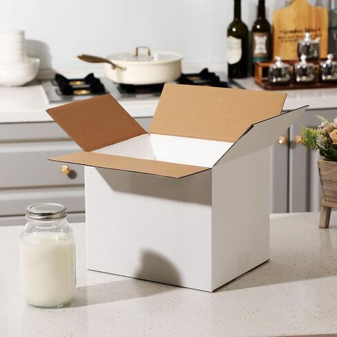 Feifeiya 4 Pack Insulated Shipping Cooler with Foam Panels 11" x 9" x 9" Reusable Shipping Box for Frozen Food Mailing Packing in Kuwait