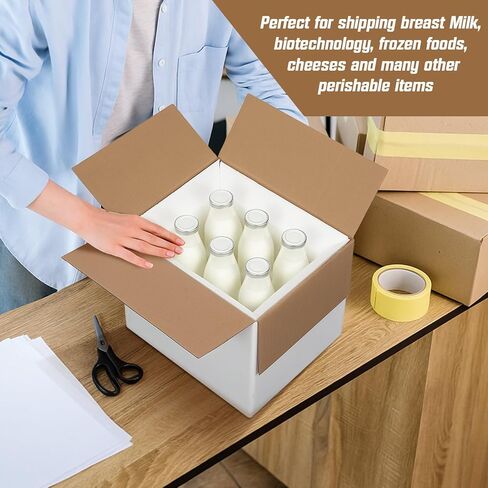 Feifeiya 4 Pack Insulated Shipping Cooler with Foam Panels 11" x 9" x 9" Reusable Shipping Box for Frozen Food Mailing Packing in Kuwait