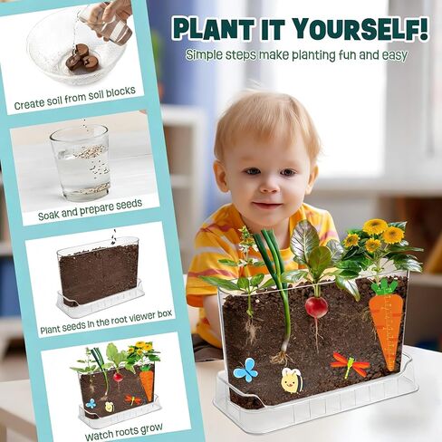 Root Viewer Kit for Kids - Science STEM Toys with Fun Stickers & Storybook, Craft Planting Kits for Ages 4-12, Birthday Gifts for Girls & Boys 4 5 6 7 8 9 10 Year Old(A Size) in Saudi Arabia