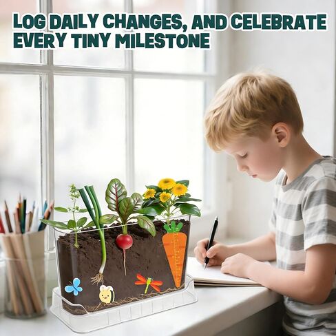Root Viewer Kit for Kids - Science STEM Toys with Fun Stickers & Storybook, Craft Planting Kits for Ages 4-12, Birthday Gifts for Girls & Boys 4 5 6 7 8 9 10 Year Old(A Size) in Saudi Arabia