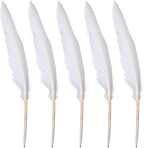 15 Pcs White Goose Feather Calligraphy Pens Quill Ballpoint Pens Wedding Guest Signature Pens Signing Writing Pens Vintage Black Ink Pens Retro Ball Point Pen Antique Dip Pens School Office Supplies in Kuwait