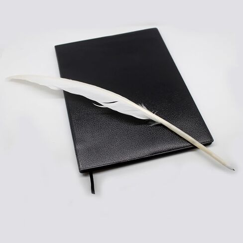 15 Pcs White Goose Feather Calligraphy Pens Quill Ballpoint Pens Wedding Guest Signature Pens Signing Writing Pens Vintage Black Ink Pens Retro Ball Point Pen Antique Dip Pens School Office Supplies in Kuwait