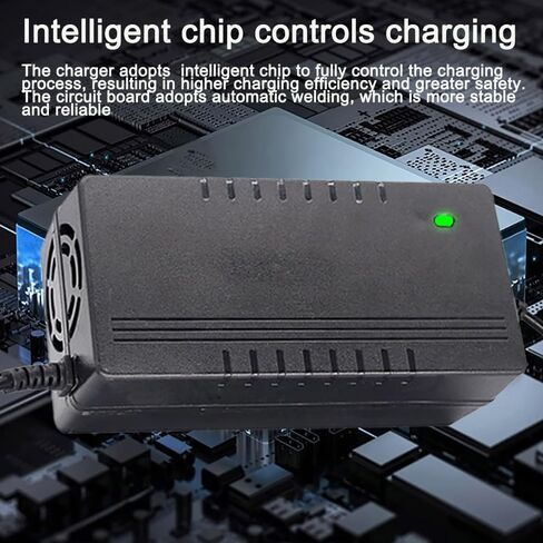 24V/29.2V 5A LiFePO4 Battery Charger for 24V(25.6V 8Strings) Lithium Iron Phosphate Battery,Smart Lithium Battery Charger 3 Holes Plug in Saudi Arabia