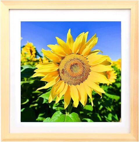 إطارات صور اللوحة الماسية Mxtallup مقاس 12 × 12، عرض الصور مقاس 10 × 10 بوصة / 25 × 25 سم مع حصيرة أو 12 × 12 بوصة / 30 × 30 سم بدون حصيرة، إطار فني ماسي بلون خشبي (TYK0011) in Kuwait