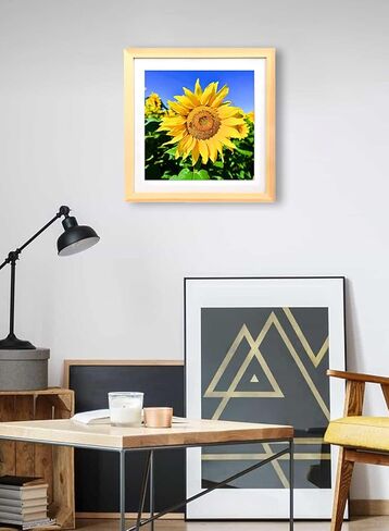 إطارات صور اللوحة الماسية Mxtallup مقاس 12 × 12، عرض الصور مقاس 10 × 10 بوصة / 25 × 25 سم مع حصيرة أو 12 × 12 بوصة / 30 × 30 سم بدون حصيرة، إطار فني ماسي بلون خشبي (TYK0011) in Kuwait
