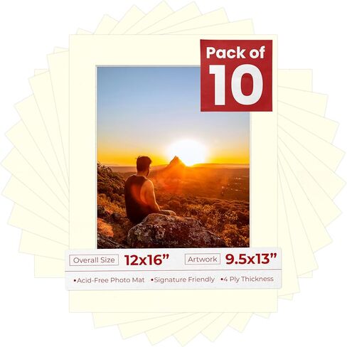 لوحة حصيرة ملصق Palooza باللون الأبيض الفاتح لإطارات مقاس 12x16 - تناسب صور مقاس 9.5x13 - بساط واحد in Kuwait