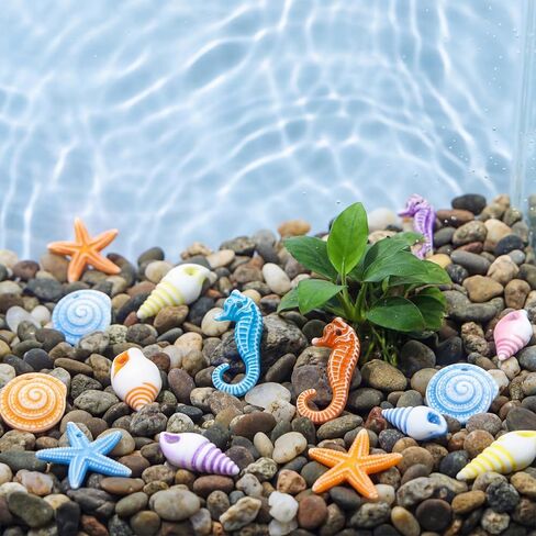 Toyvian 48pcs Mini Resin Beach Seashells: Sea Shell, Sea Stars, Conch & Seahorses - Ideal for Fish Tank Decorations Home Decor, Beach Parties & DIY Crafts (Random Color) in Saudi Arabia
