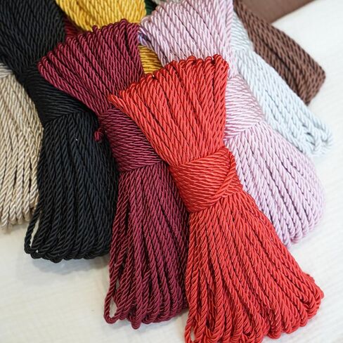 3-Ply Twisted Polyester Decorative Rope, 5mm (0.2in) Soft Silky Craft Cord, 21.87 Yards (20m) for DIY Crafts, Drawstring Bags, Curtain Tiebacks, Gift Wrapping & Holiday Decor（Red） in Kuwait