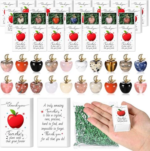 20 Sets Teacher Appreciation Gifts in Bulk Thank You Teacher Desk Decor Mini Apple Teacher Pocket Hug Token with Green Moss Thank You Gifts for Teacher Coworker Staff Employee Appreciation Gifts in Saudi Arabia