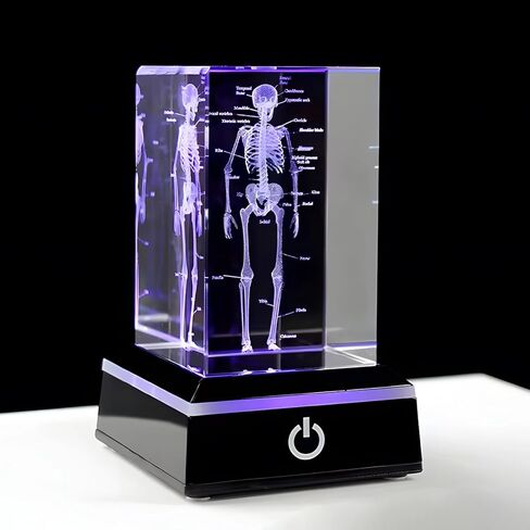 3D Human Skeleton Model Anatomy Gifts, Science Biology Figurine Paperweight, Crystal Glass Skeleton Figurine with Colorful LED Base, Science Biology Bone Paperweight Gifts for Med Biology Students in Saudi Arabia