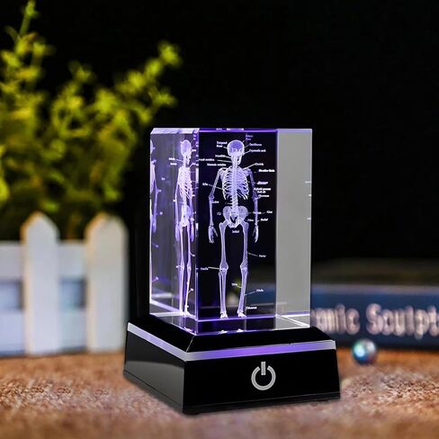 3D Human Skeleton Model Anatomy Gifts, Science Biology Figurine Paperweight, Crystal Glass Skeleton Figurine with Colorful LED Base, Science Biology Bone Paperweight Gifts for Med Biology Students in Saudi Arabia
