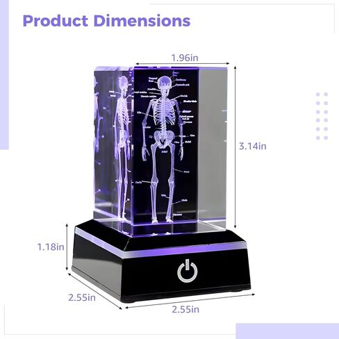 3D Human Skeleton Model Anatomy Gifts, Science Biology Figurine Paperweight, Crystal Glass Skeleton Figurine with Colorful LED Base, Science Biology Bone Paperweight Gifts for Med Biology Students in Saudi Arabia
