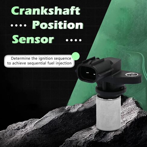 Engine Crank Crankshaft Position Sensor V8 4.7L Compatible with Lexus Toyota Gs400 Gs430 Gx470 Land Cruiser Ls400 Ls430 Lx470 Sc400 Sc430 Sequoia 4Runner Tundra 98-10 Replaces 9091905035 PC214 SU4248 in Kuwait
