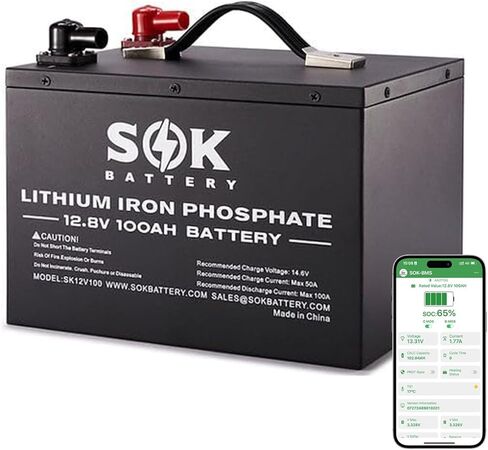 SOK Battery 12V 206Ah LiFePO4 Battery, 8000+ Deep Cycle Smart BMS, 170A Max Continuous Discharge & 70A Max Charge, Built-in Heater & Bluetooth, Metal Case for RV, Solar, Camper, Trailer, Off Grid in Saudi Arabia