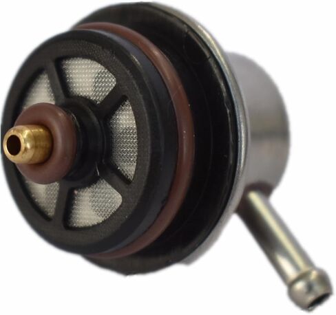 Fuel Injection Pressure Regulator with Clip and Snap Ring Replaces 19236428, 2173299 Compatible with LeSabre Monte Carlo NPR Park Avenue Regal in Kuwait