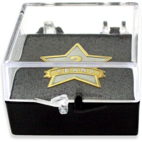 PinMart's 2 Years of Service Star Lapel Pin with Clear Gift Box - 10 Pack