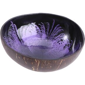 bowls tank natural salad bowl Serving Bowls vegetarian snacks cereal bowls shell bowls decor trinket coffee table bowls for snacks bowl dishes coconut shell porch bowl cover office