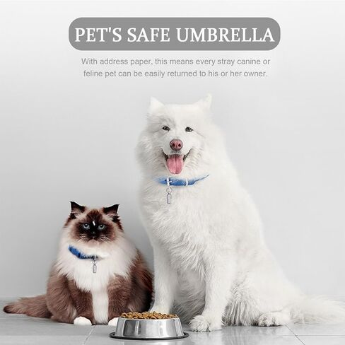 3 قطعة علامات تعريف الحيوانات الأليفة لمكافحة فقدانها ، علامات تعريف الحيوانات الأليفة على شكل برميل ، علامات معرف الحيوانات الأليفة مع عنوان الاسم ، ملصق الهاتف ، منع فقدان الحيوانات الأليفة لطوق الجرو الأليف in Kuwait