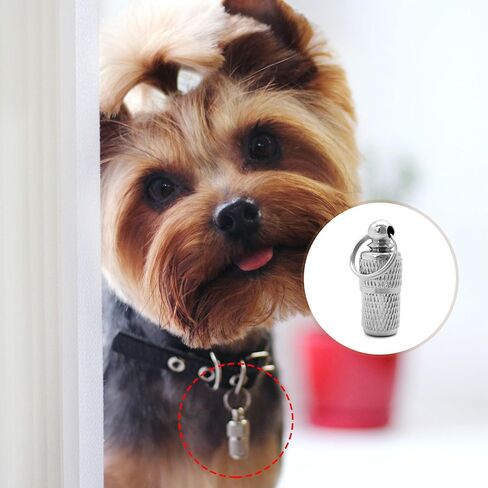 3 قطعة علامات تعريف الحيوانات الأليفة لمكافحة فقدانها ، علامات تعريف الحيوانات الأليفة على شكل برميل ، علامات معرف الحيوانات الأليفة مع عنوان الاسم ، ملصق الهاتف ، منع فقدان الحيوانات الأليفة لطوق الجرو الأليف in Kuwait