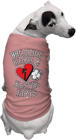 قميص Tcombo Breaking Hearts & Blags Farts للكلاب (أسود، صغير) in Kuwait