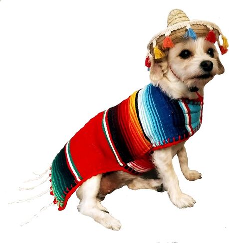 Handmade Dog Poncho - Reversible Poncho from Mexican Serape - Pet Costume – Sweater (Small, Black) in Saudi Arabia