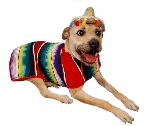 Handmade Dog Poncho - Reversible Poncho from Mexican Serape - Pet Costume – Sweater (Small, Black) in Saudi Arabia