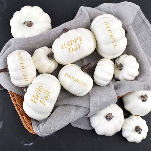 YIZRIO 12 PCS Assorted Sizes Rustic Harvest White Mini Artificial Pumpkins for Halloween, Fall and Thanksgiving Decorating in Saudi Arabia