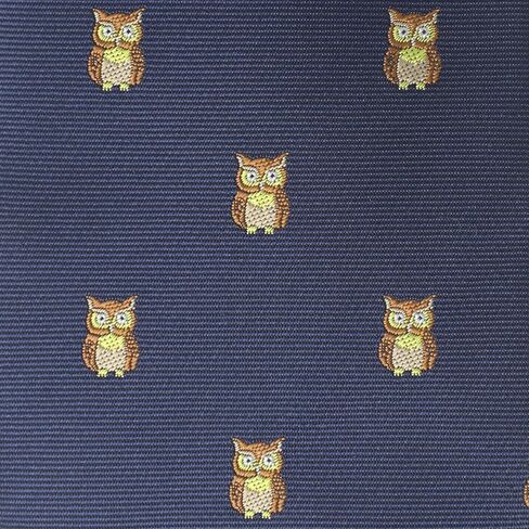 Men Bird Pattern Tie Blue Jay Necktie Owl Tie Father's Day Birthday Gift Tie in Saudi Arabia