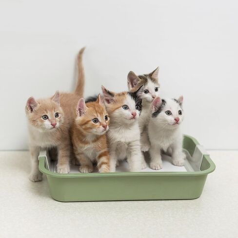 Cat Litter Deodorizer (1 Pack) in Saudi Arabia