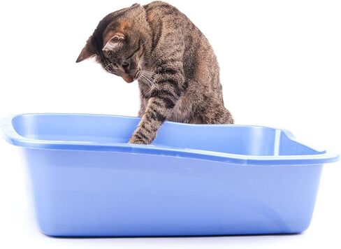 Cat Litter Deodorizer (1 Pack) in Saudi Arabia