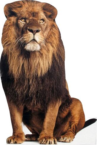 Animal Life Size Cardboard Cutout Stand Up | Standee Picture Poster Photo Print (Lion) in Saudi Arabia
