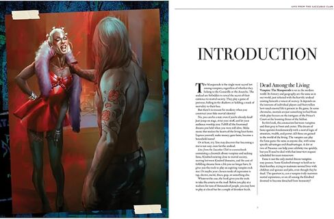 Renegade Game Studios Vampire: The Masquerade - مباشر من The Succubus Club RPG Sourcebook in Kuwait