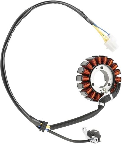 STATOR ALTERNATOR Fit For SMW HOKU 125 VAREZ OUTLAW RS125R SM125R 2017-2023 Motorcycle Accessories 18 19 20 21 22 in Kuwait