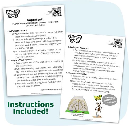 Insect Lore Ant Habitat Refill - 25 Live Ants and Refill Sand - Native Western Harvester Ants in Kuwait