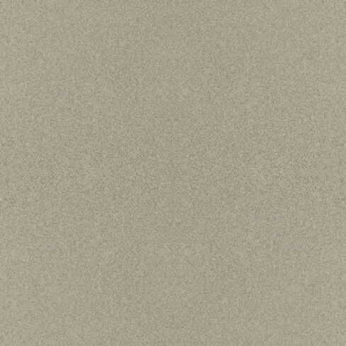 طلاء السيارات لسيارات Ford AQ، Arizona Beige Metallic، Quart in Kuwait