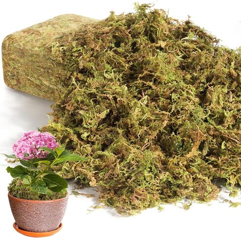 16 OZ Artificial Moss for Indoor Plants, Large Capacity Natural Fake Moss, Fake Grass for Crafts Garden Party Decorations in Saudi Arabia