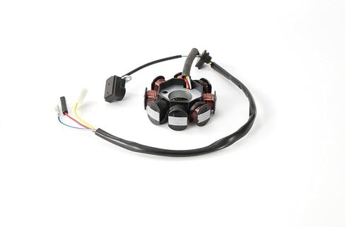8 Coil Magneto Stator with Flywheel Puller Clutch Lock Tool Kit for GY6 50cc Engine 139QMB 139QMA Scooter Moped ATV Go-Kart in Kuwait