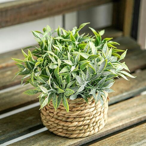 Artificial Plants with Seagrass Handwoven Planters, Farmhouse Indoor Greenery for Home Office Room Desk Decor or Gift (Little Leaf, 13x7.8cm) in Saudi Arabia