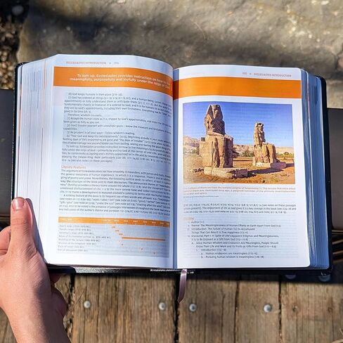 الكتاب المقدس لدراسة NIV المخصص من SacredBound - طبعة منقحة بالكامل، اسم محفور جلد أسود مربوط | أكثر من 21,000 مذكرة دراسية، بالألوان الكاملة، بحروف حمراء، طباعة مريحة (الاسم فقط) in Kuwait