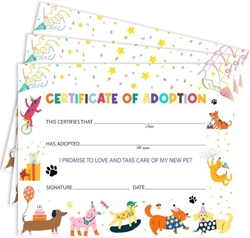 25 My First Flight Certificate, 8x10" Blank Award Certificate Paper for Baby Girls Boys Kids First Flight Keepsake, Pilot Achievement Aviation Journey Milestone -07 in Kuwait