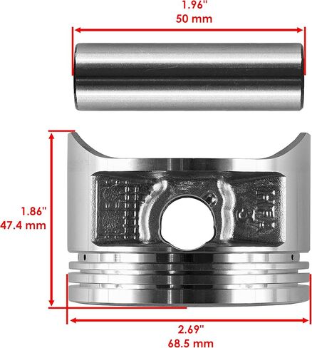 Caltric Cylinder Piston Ring compatible with Honda Trx250X Trx250 X 2009 2010-2014 Standard Bore in Kuwait