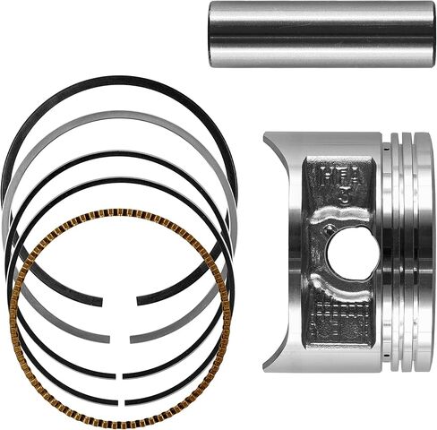 Caltric Cylinder Piston Ring compatible with Honda Trx250X Trx250 X 2009 2010-2014 Standard Bore in Kuwait
