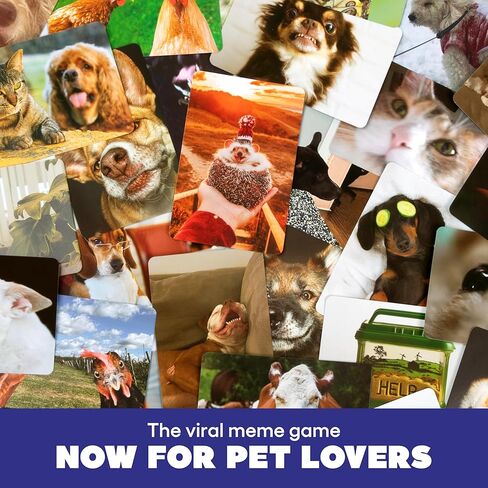 ماذا تفعل ميمي؟ إصدار Family Pets Only، ألعاب أطفال مذهلة وألعاب مضحكة لجميع أفراد العائلة، تتضمن 300 بطاقة توضيحية، و65 بطاقة صور، وحامل واحد، وتعليمات in Kuwait