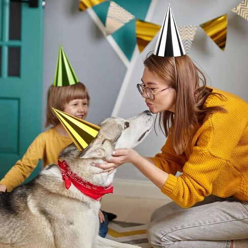 24PCS Colorful Birthday Party Hats Mini Party Hats for Adults Small Metallic Foil Cone Hat for Birthday Carnival Party Supplies, Accessories in Saudi Arabia