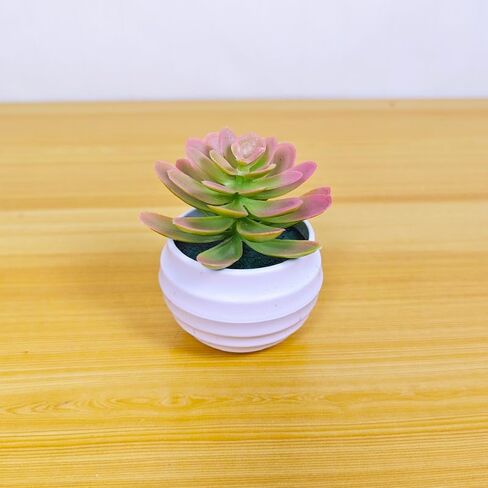 Mini Artificial Succulents Plants Bonsai Faux Succulent Plant Potted Tabletop Greenery Ornaments Home Decoration 5.5 * 8.5cm(Deep Green) in Saudi Arabia