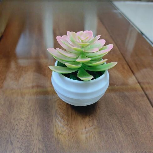 Mini Artificial Succulents Plants Bonsai Faux Succulent Plant Potted Tabletop Greenery Ornaments Home Decoration 5.5 * 8.5cm(Deep Green) in Saudi Arabia