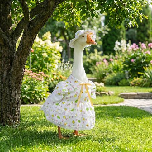 Avxdbr 23 بوصة الصيف أوزة الزي الأفوكادو تنورة مع الدانتيل تقليم وقبعة الشرفة أوزة الملابس لساحة الحديقة فناء حديقة ديكور الحفلات in Kuwait
