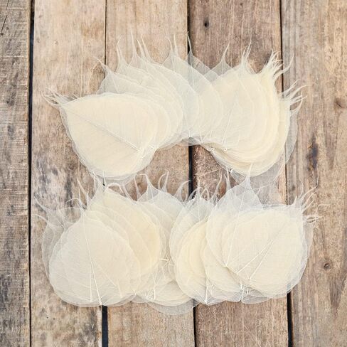 100 Pcs Skeleton Natural Ficus Religiosa Leaves Artificial Leaves Craft Card Scrapbook, DIY Caft, Greeting Cards, Natural Real Dry BodhiSkeleton Leaf Vein for Resin Art DIY Craft (Ficus Religiosa) in Saudi Arabia