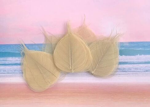 100 Pcs Skeleton Natural Ficus Religiosa Leaves Artificial Leaves Craft Card Scrapbook, DIY Caft, Greeting Cards, Natural Real Dry BodhiSkeleton Leaf Vein for Resin Art DIY Craft (Ficus Religiosa) in Saudi Arabia